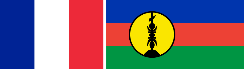Flag of New Caledonia - in the public domain